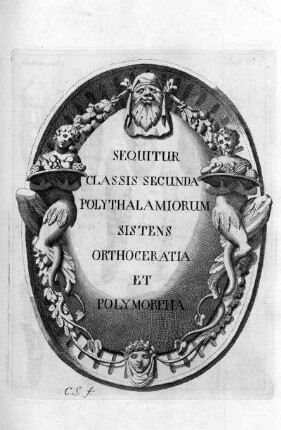SEQUITUR CLASSIS SECUNDA POLYTHALAMIORUM SISTENS ORTHOCERATIA ET POLYMORPHA