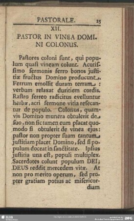 XII. Pastor in Vinea Domini Colonus