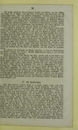57. Die Heuschrecken