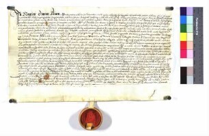Notariatsinstrument des Leonard Stalberg: "Procuratorium ad acceptionem Capari de Freyberg". (Altrep. S.13)