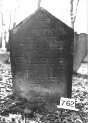 Grabstein 762 (Index: 99900371) Material: Sandstein Zustand: angewittert Maße HxBxT: 98x60x7 cm Beschreibung: Stele mit Dreiecksabschluss, im Dreiecksfeld Blüte Symbolik: Blüte: Grabstein 762 (Nachholaufnahme)