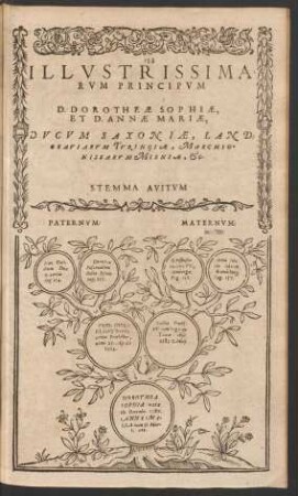 Illustrissimarum Principum D. Dorotheae Sophiae, Et D. Annae Mariae ...