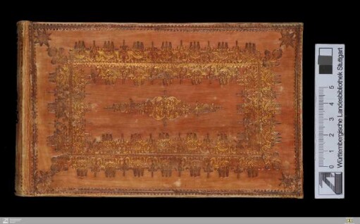Stammbuch Johann Caspar Camerer - Cod.hist.oct.319
