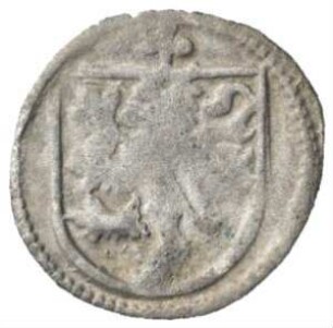 Fundmünze, Pfennig, 1482 - 1485