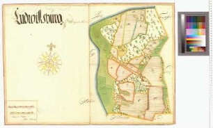 Ludwigsburg Amt/Distrikt Wolgast
