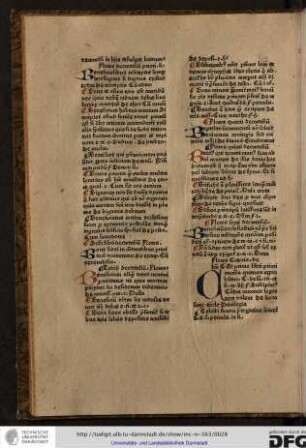 Concilio quatuor approbantur, C. de su tri et si, capitulo liii.