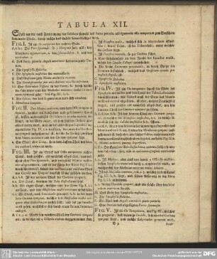 Tabula XII.