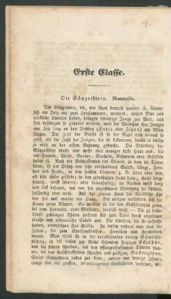 Erste Klasse. Die Säugethiere. Mammalia.