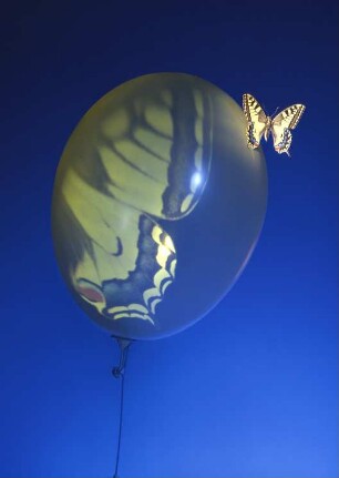 Wandkalender 1984 "Schönheit in unserer Hand" : Wandkalender 1984 "Schönheit in unserer Hand" (Schmetterling auf Luftballon). Druckmaschinenwerk Planeta  (Herstellung)