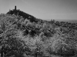 Archivfotografie "bergstrasse_weinheim_4347"