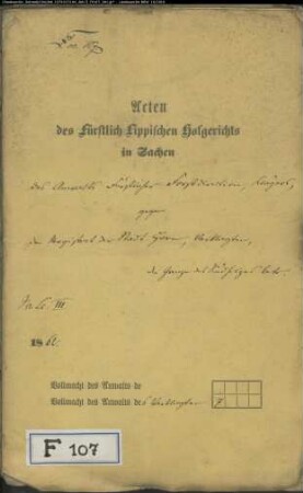 Forstdirektion gegen Stadt Horn - Grenze des Südholzes