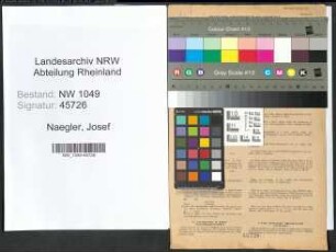 Entnazifizierung Josef Naegler , geb. 06.06.1911 (Verwaltungsbeamter)