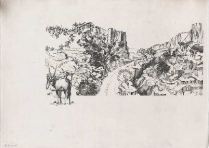 Hansjakob, Gottfried; Frankfurt am Main; Frankfurter Zoo - Tierhaltung im Zoo (Perspektive)
