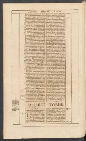 (A) Liber Tobiae