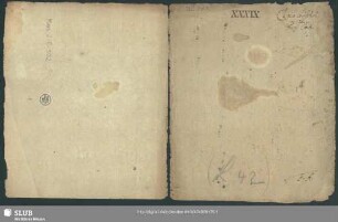 Stimmensatz [Schreiber: Adami, F. [?]; u.a.]