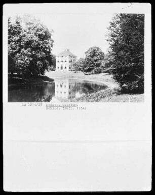 Schloss Luisium