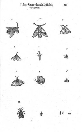Tabula decima