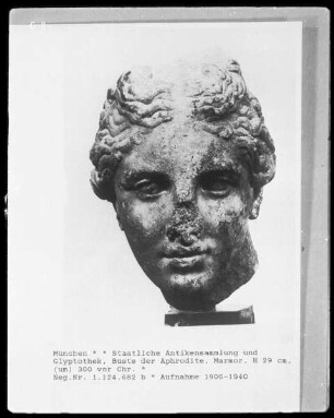 Büste der Aphrodite