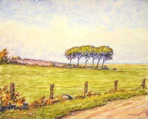 "Am Weg nach der Heidkate (II)"