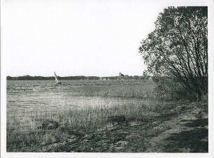 Segelboot auf See