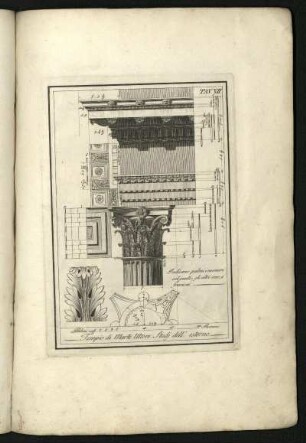 Tav. VII. Tempio di Marte Ultore. Studj dell' esterno
