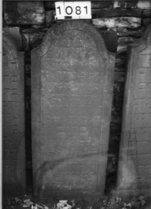 Grabstein 1081 (Index: 99630584) Material: Sandstein Zustand: verwittert Maße HxBxT: 140x57x10 cm Beschreibung: Stele mit eingezogenem Rundbogenabschluß, Schriftfeld eingetieft: Grabstein 1081 (2)