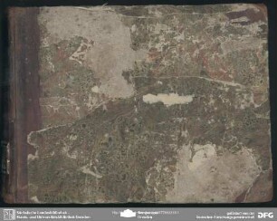 La Capricciosa pentita - Mus.4657-F-501 : BruM 4
