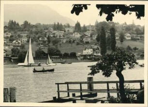 Blick auf den Thuner See