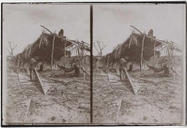 Construction of a Kayapó festival hut