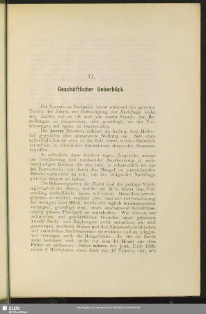 VI. Geschäftlicher Ueberblick