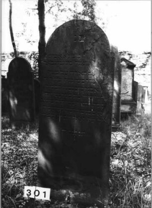 Grabstein 301 (Index: 99629802) Material: Sandstein Zustand: rechts abgeblättert/Textverlust Maße HxBxT: 151x60x7 cm Beschreibung: Stele mit eingezogenem Rundbogenabschluß: Grabstein 301