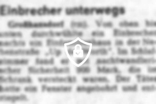 Einbrecher unterwegs