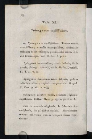 78-83, Tab. XI. Sphagnum capillifolium.