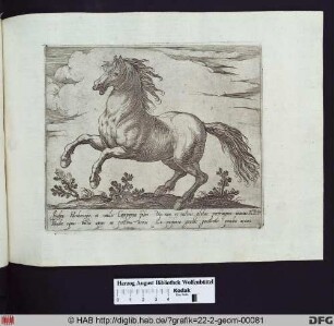 Ein aufbäumendes Pferd, nach links gerichtet.
