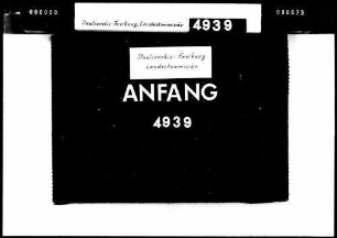 Reinigung der Kamine