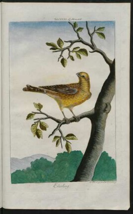 Emmerling