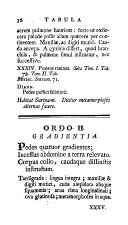 Ordo II. Gradientia.