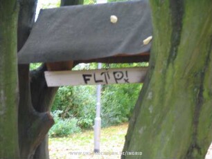 FLiP!