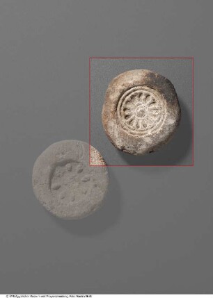 Model für eine Rosette
