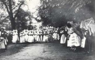 Erntebrauch in Byhleguhre : Gesellschaftliche Volkskultur - Herbst. Ort: Běła Gora / Byhleguhre. Eierlauf beim Hahnrupfen.