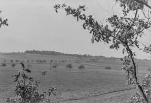 Blick auf Dorf Salzenforst : Felder und Straßen vor Salzenforst