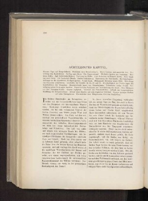 Achtzehntes Kapitel.