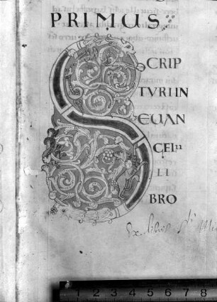 Sancti Ambrosii super Lucam evangelistam decem libri — Initial S, Folio fol. 2 r