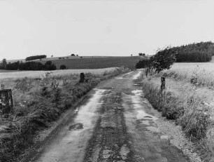 Hochkirch-Wuischke. Feldweg in Wuischke