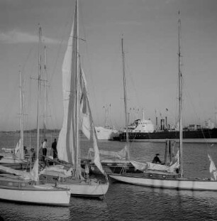Stralsund. Hafen, im Vordergrund Segelschiffe, im Hintergrund weitere Schiffe