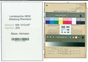 Entnazifizierung Hermann Bauer , geb. 19.08.1905 (Regierunsrat)