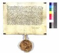 Kaiser Karl gestattet der Stadt Ravensburg, sechs Jahre lang die schon in der Stadt wohnenden oder zuwandernden Juden in ihren Schirm nehmen zu dürfen, und erteilt ihr ferner das Recht, alle in der Stadt oder deren Gebiet liegenden Güter zu besteuern.