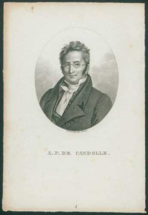 A.P. de Candolle