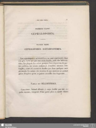 Première Classe. Céphalopodes
