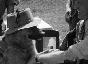 Filmtagebuch 1937-1939